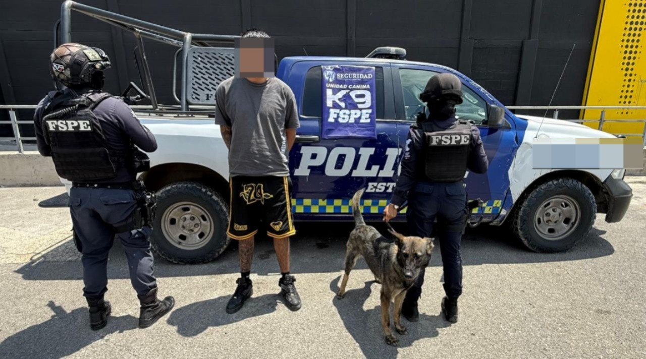 Perro policía K9 “Cessy” detiene a joven