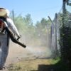 Prevención del dengue en colonias de León continúa reforzándose