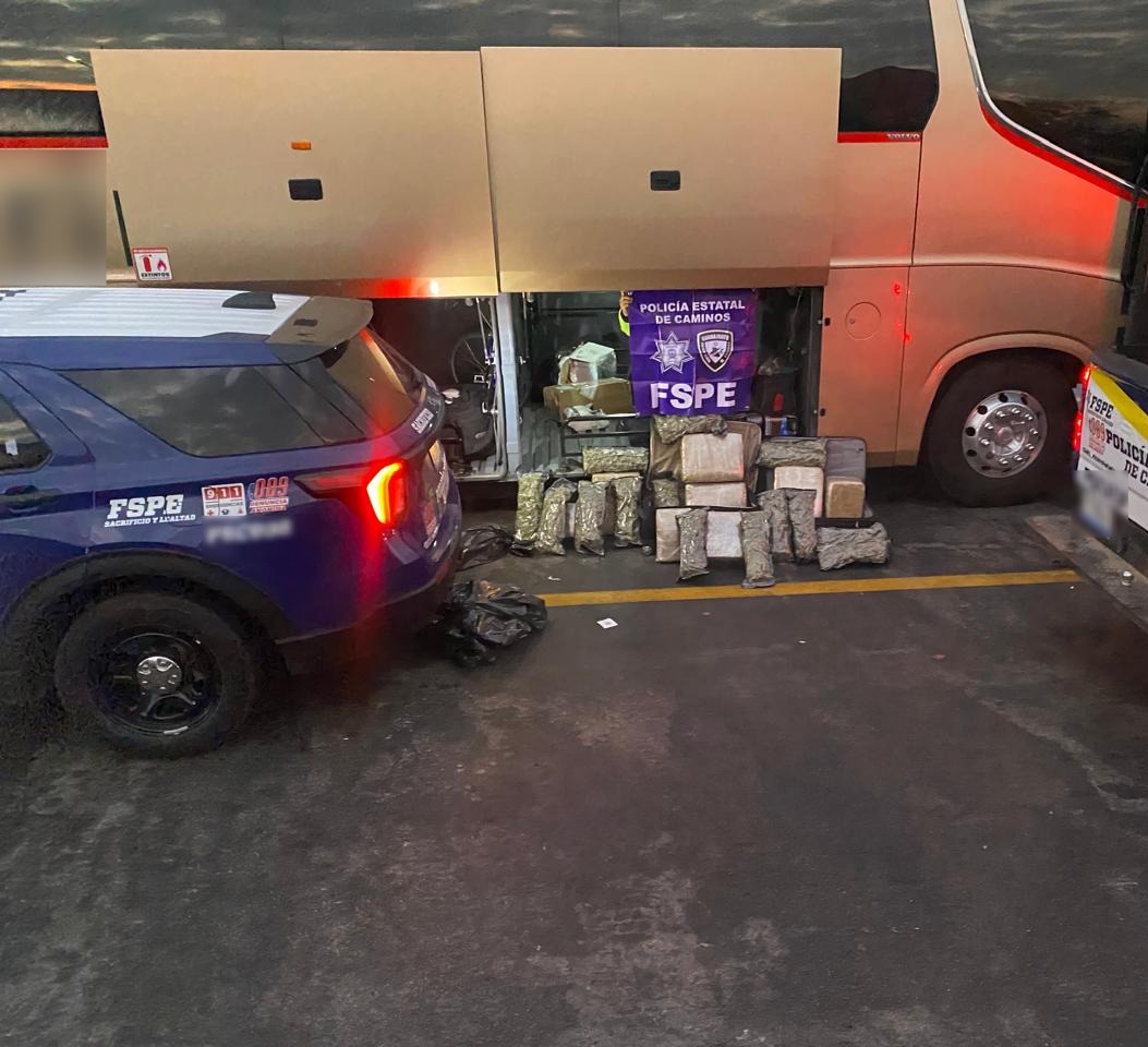 Aseguran 38 mil dosis de marihuana