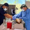 esterilización masiva canina y felina